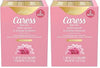 Caress Beauty Bar Soap For Silky, Soft Skin Daily Silk With Silk Extract and Floral Oil Essence 3.75 oz 2 Bars (Pack of 2)